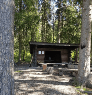 Pyöröhirsinen laavu ja sen edustalla oleva nuotiopaikka kuusikon keskellä.