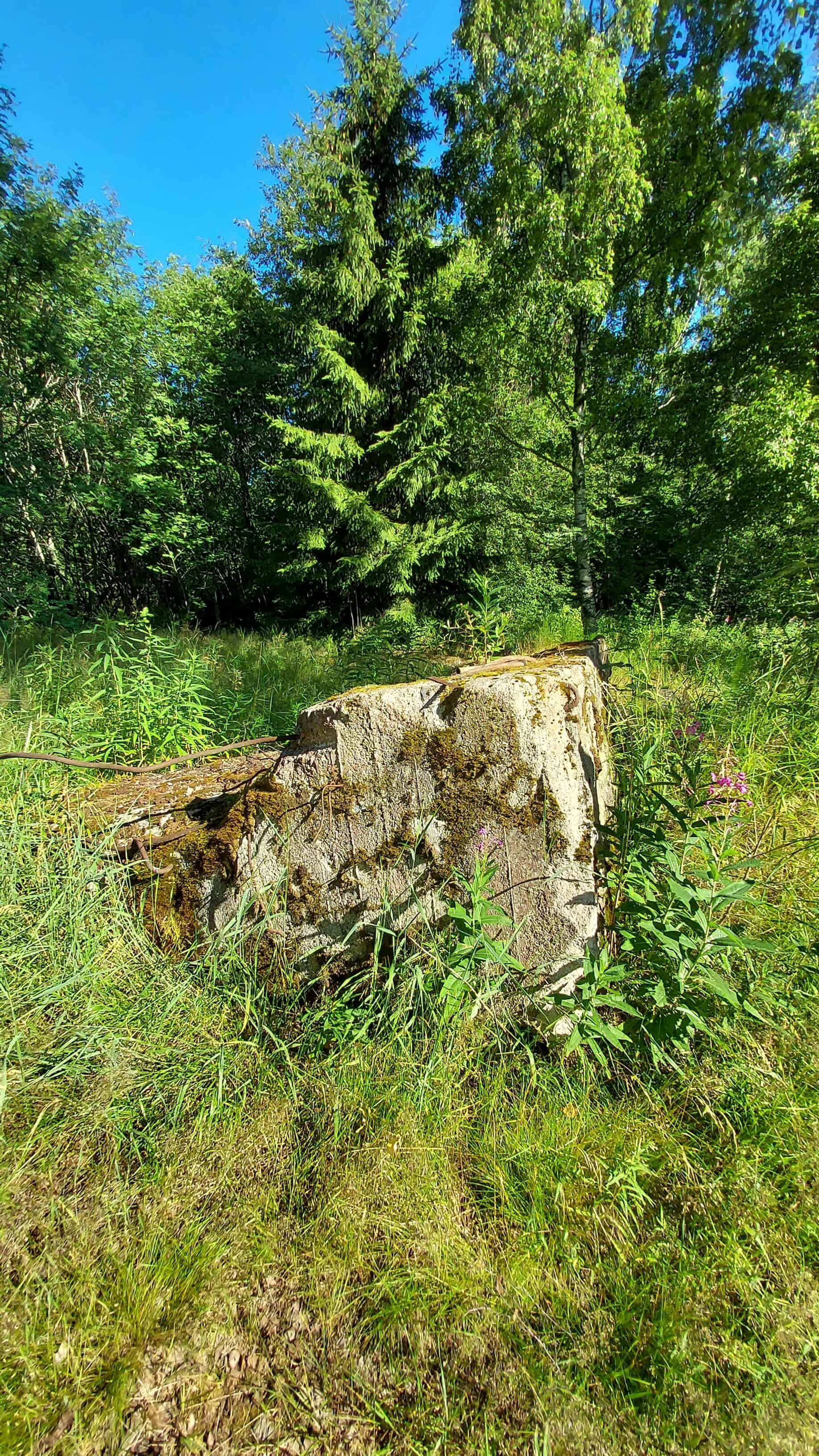Isokarilla sijainneen huvilan perustuksia ruohikon keskellä.