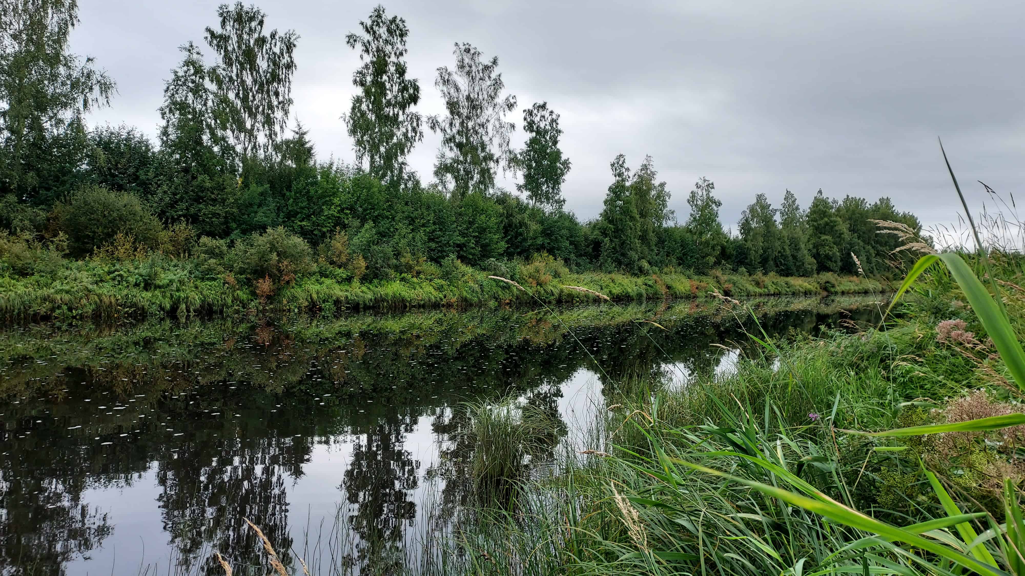 Jokimaisemaa, jossa rannalla olevat puut heijastuvat joen pintaan. Ympäristö on vehreää.