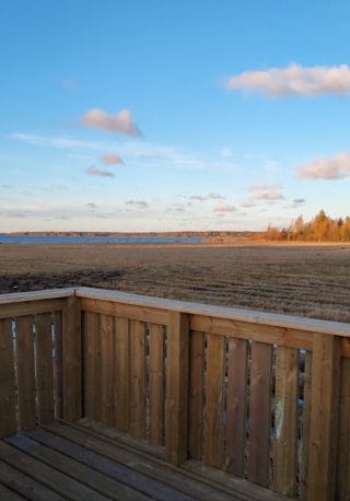 Maisema lintulavalta. Edustalla lintulavan kaiteet. Taustalla matalaksi leikattua ruovikkoa ja meri.