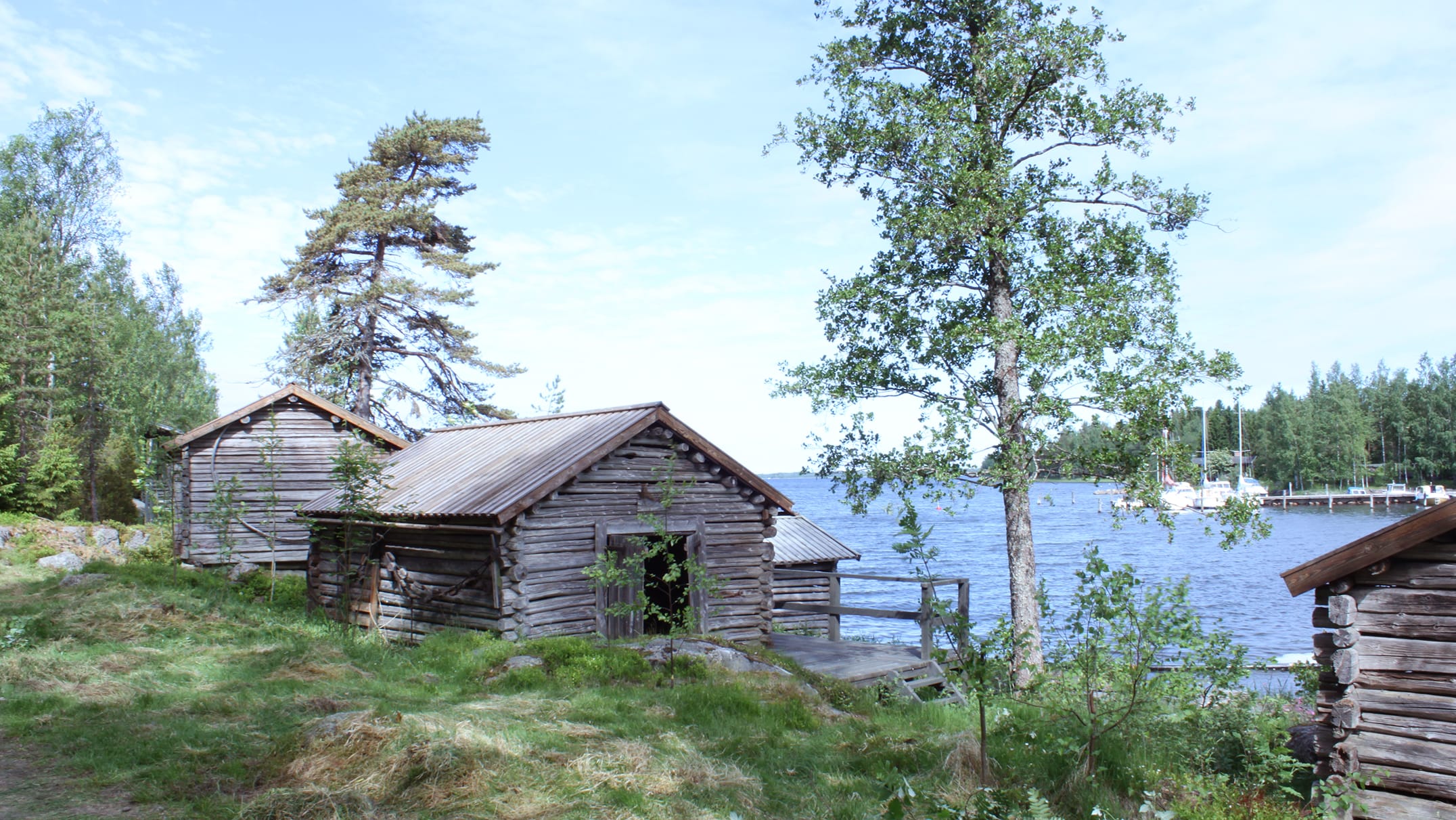 Harmaahirsisiä rakennuksia meren rannalla kesällä.