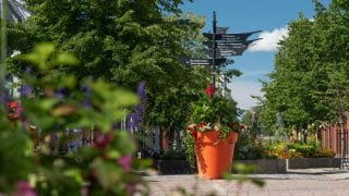 Vy över Fabriksgatan som är full av planteringar. I mitten står en stor blomkruka full av blommor. Från mitten av krukan reser sig en svart skylt i metall med guidning till många olika håll.