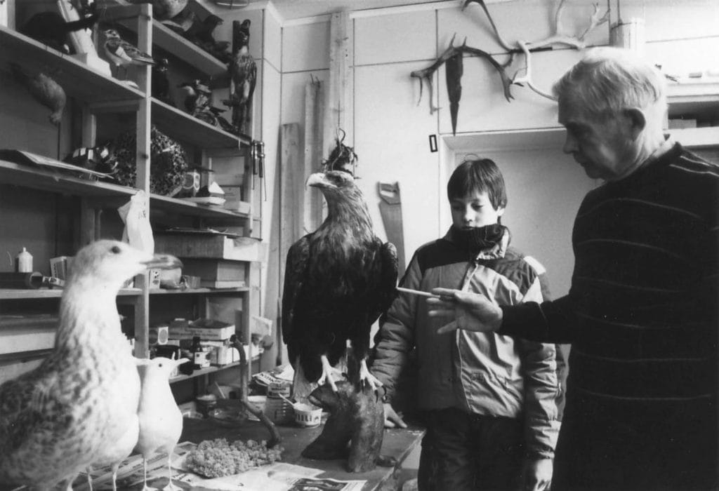 Salkio advices a boy on stuffing animals. There is a sea eagle on a table as a work in progress.