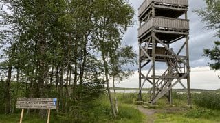 Fågeltornet i trä vid havsstranden i Sandskata reser sig mot en grå himmel. Framme till vänster en guidningsskylt i trä, bakom den höga lövträd