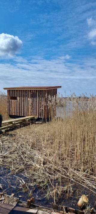 Bredvikens fågelgömma