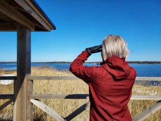 En människa tittar på fåglar från Villa Elbas tillgängliga fågeltorn.