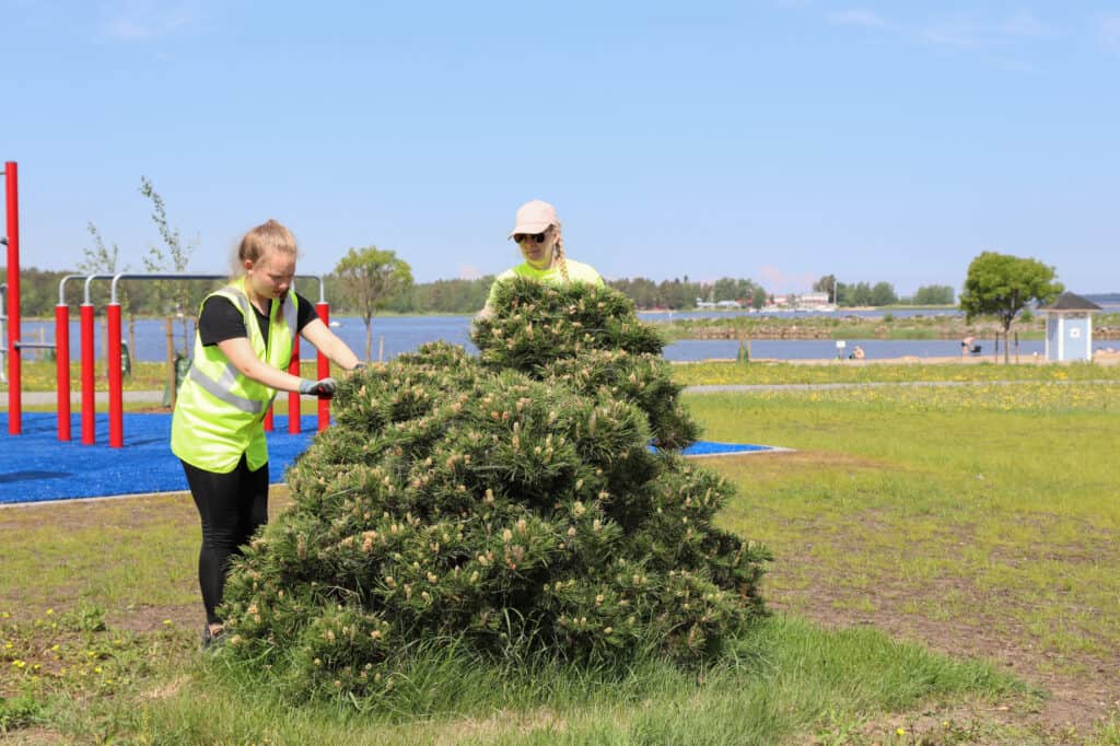 Kesätyöntekijät