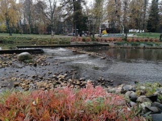 Virtaava joki.