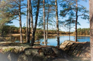 Järven rantamaisemaa.