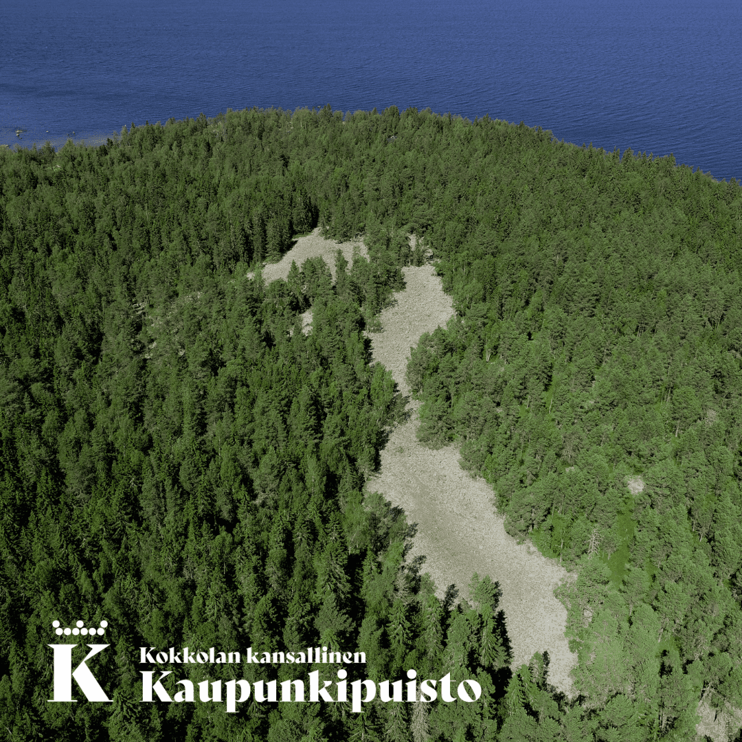 Flygfoto av Trullö djävulsåker. Djävulsåkern är en fornstrand från senaste istiden.
