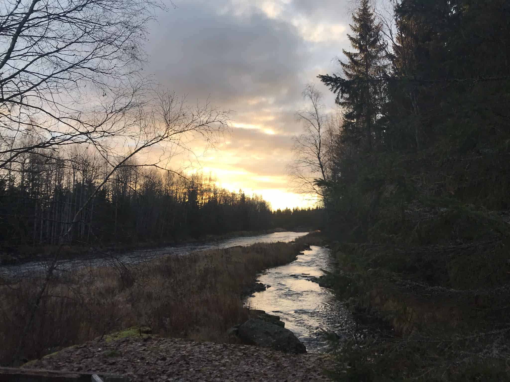 Auringon nousu. Joen uoma, jota reunustaa tumma metsä.