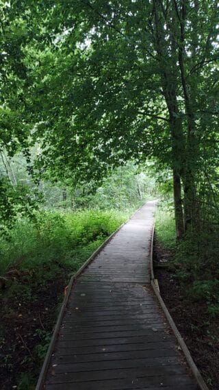 Villa Elba nature trail with an accessible duckboards.