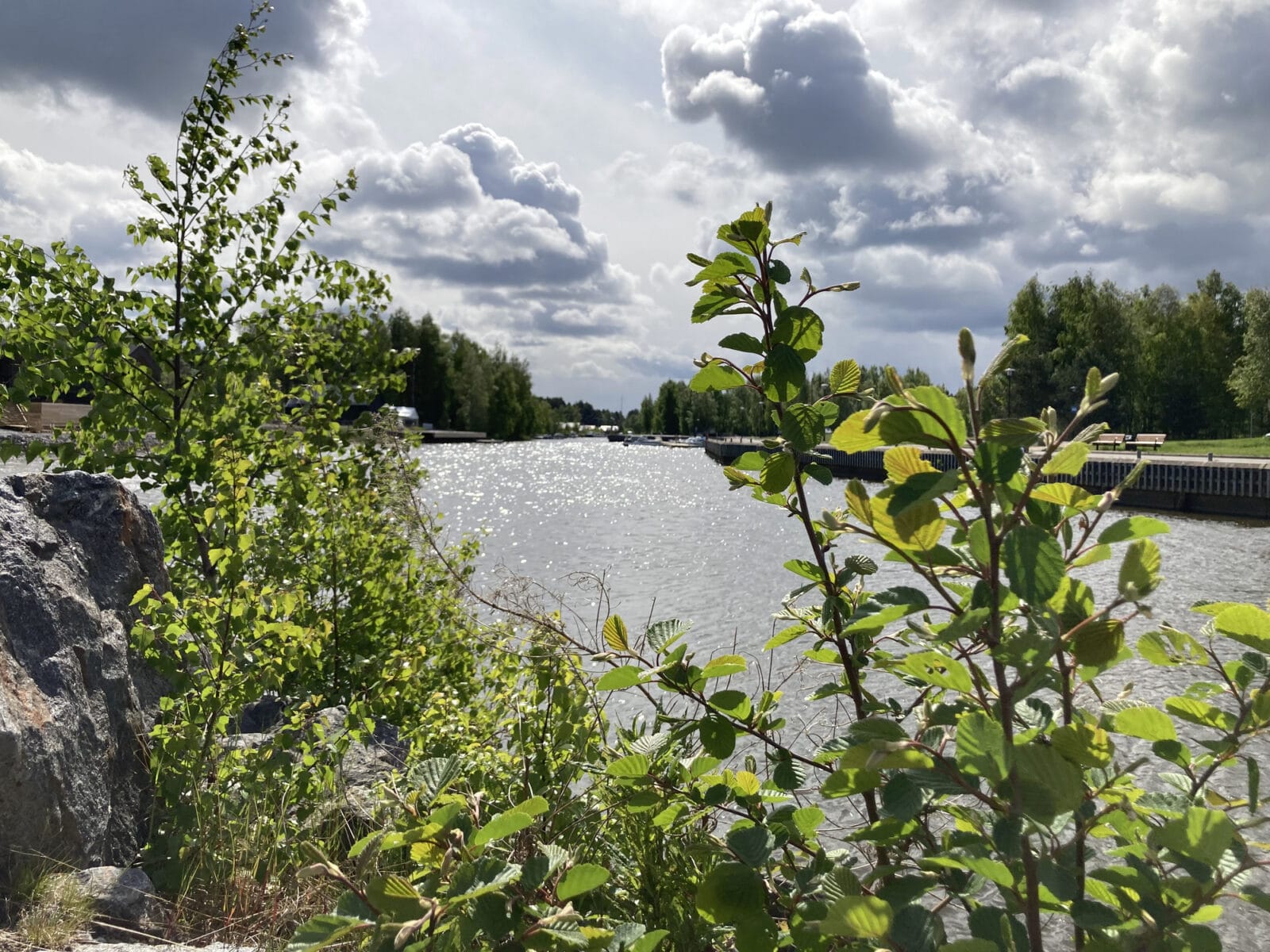 Rantakivikon ja pensaiden oksien takana kimmeltää vesi, taustalla näkyy kaupunginsalmen rantoja ja venevajojen kattoa, poutainen taivas