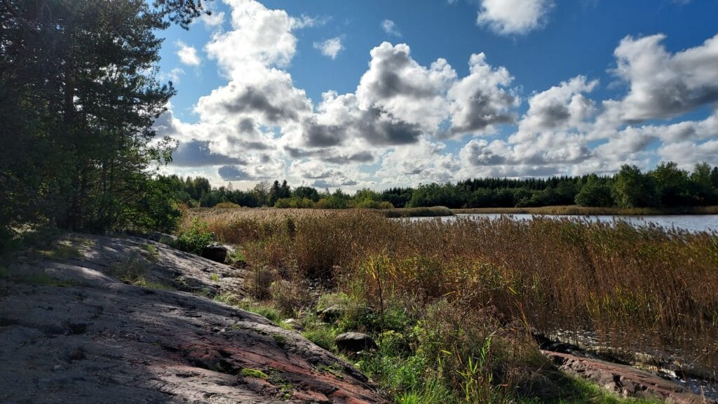 Kalliota, ruovikkoa ja merta. Taivas on kirkas, sininen ja taivaalla on valkoisia pilviä. Oikeassa reunassa on puustoa.