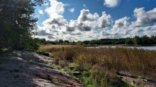Kalliota, ruovikkoa ja merta. Taivas on kirkas, sininen ja taivaalla on valkoisia pilviä. Oikeassa reunassa on puustoa.