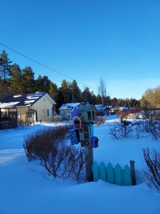 Siirtolapuutarha on peittynyt lumeen. Sininen taivas heijastaa lumen siniseksi. Vasemmassa reunassa siirtolapuutarhan mökkejä.