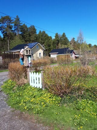 Siirtolapuutarha keväällä. Nurmi vihertää jo, mutta pensaissa ja puissa ei ole vielä lehtiä. Kuvan vasemmassa reunassa siirtolapuutarhan mökkejä.