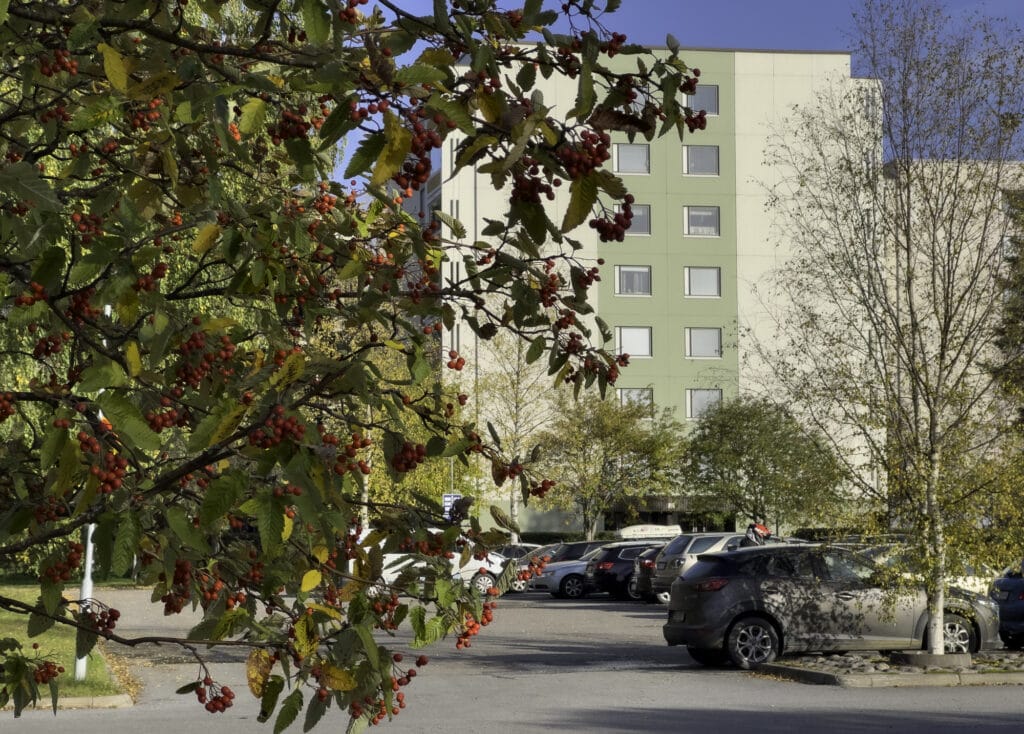 Kerrostalo näkyy puun takaa.
