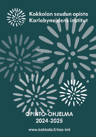 Opinto-ohjelma 2024-2025