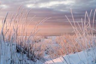 Ohtakarin dyynimaisemaa talvella. Lumikerros peittää dyynejä ja taivas on vaaleanpunainen.