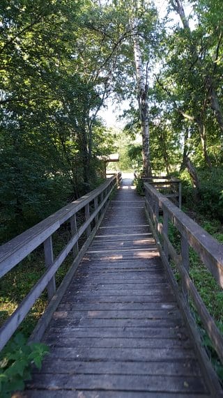 Leveähkö pitkospuureitti, jossa on kaiteet. Reitti kulkee lehtomaisen metsän läpi.