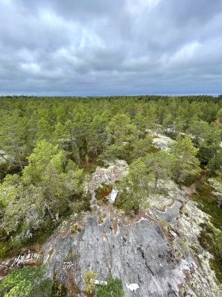 Öjan saaristopolun metsämaisemia ylhäältä kuvattuna. Kuvan etualalla kalliota.