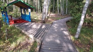 The path forks. There is a widened section at the intersection. When going to the left, the trail goes under a colourful roof structure that is 157 cm high. Under the roof structure there is a bench on the left. There is a red rug on the path next to the cottage. The trail also continues straight on, curving slightly to the right.