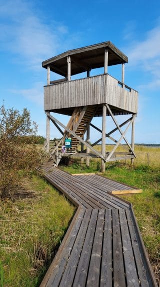 There are duckboards leading to the birdwatching tower. There is a widened section on the right of the duckboards.