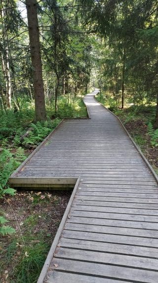 Passeringsplats på vänster sida av stigen. Plankorna fortsätter som jämnt underlag i breddningen.