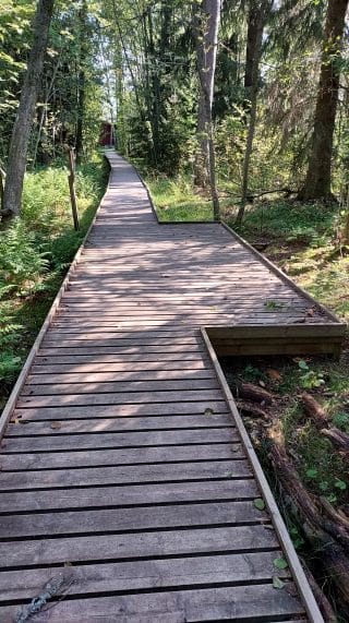 Ohituspaikka oikealla puolella polkua. Lankut jatkuvat tasaisena pohjana levennyksessä. 