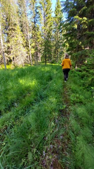 Ihminen kulkee vehreässä metsässä keltainen takki päällä.