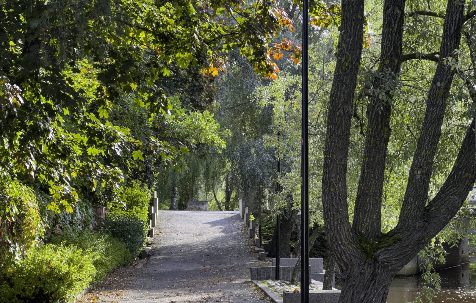 Puistopolku, jota reunustavat vehreät puut ja pensaat. Polku johtaa pienen sillan yli, ja taustalla näkyy lisää puita.