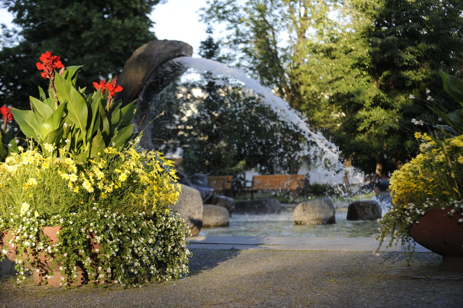 Tyrsky-suihkulähde kuohuu Länsipuistossa kukkaistutusten takaa.