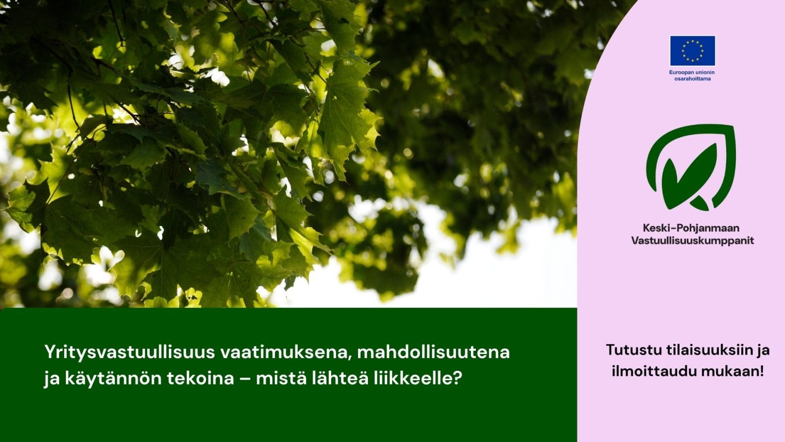 Hankkeen tunnuskuvan grafiikka