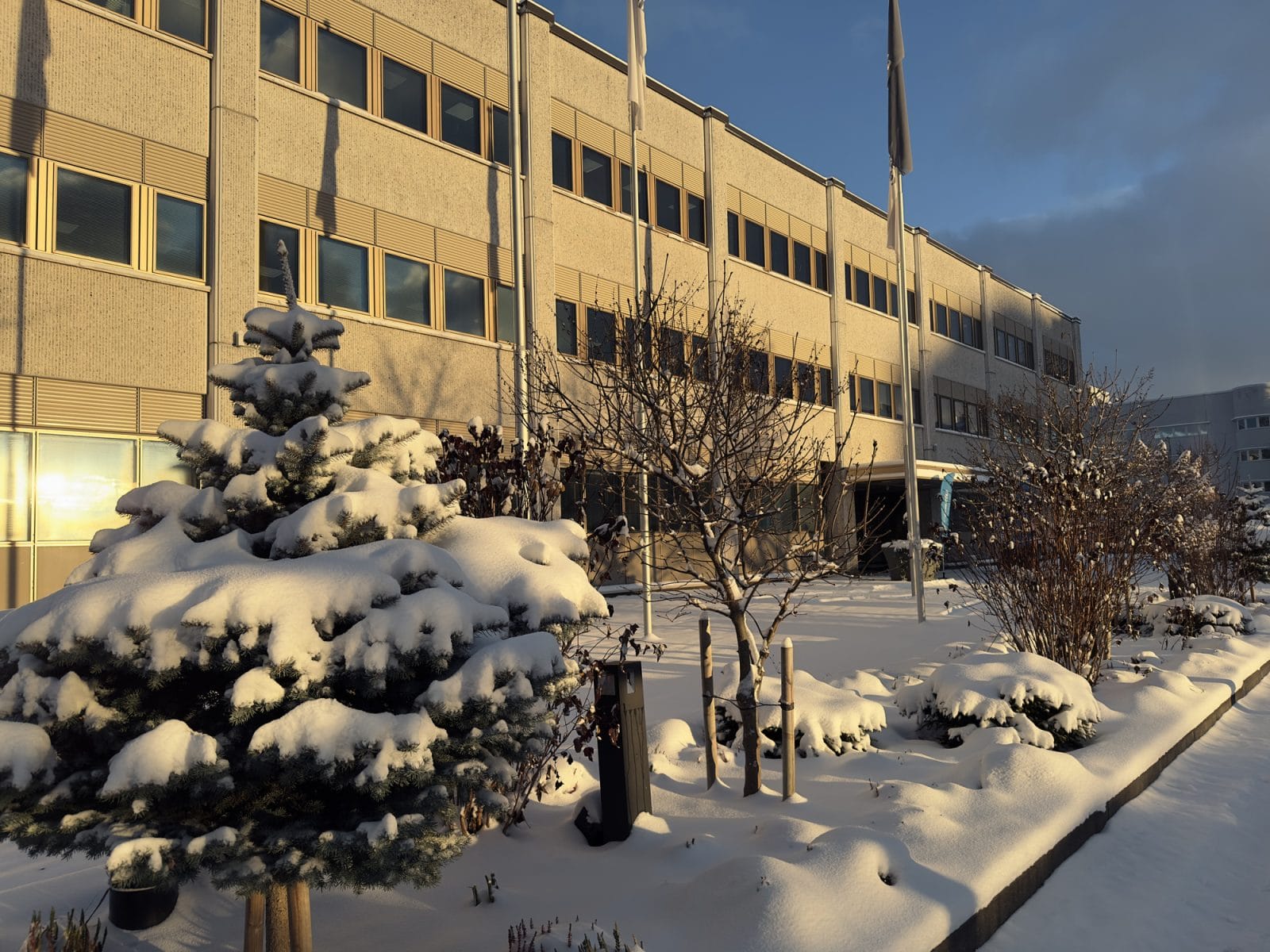 Talvinen kaupungintalo, lumiset istutuspenkit edustalla.