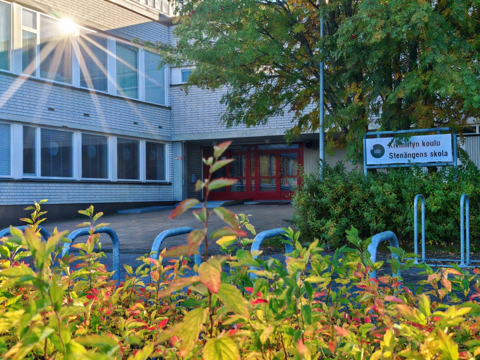 Kiviniityn koulurakennus, etualalla syksyisen kellertävä pensas ja pyörätelineitä. Aurinko heijastuu koulun ikkunasta.