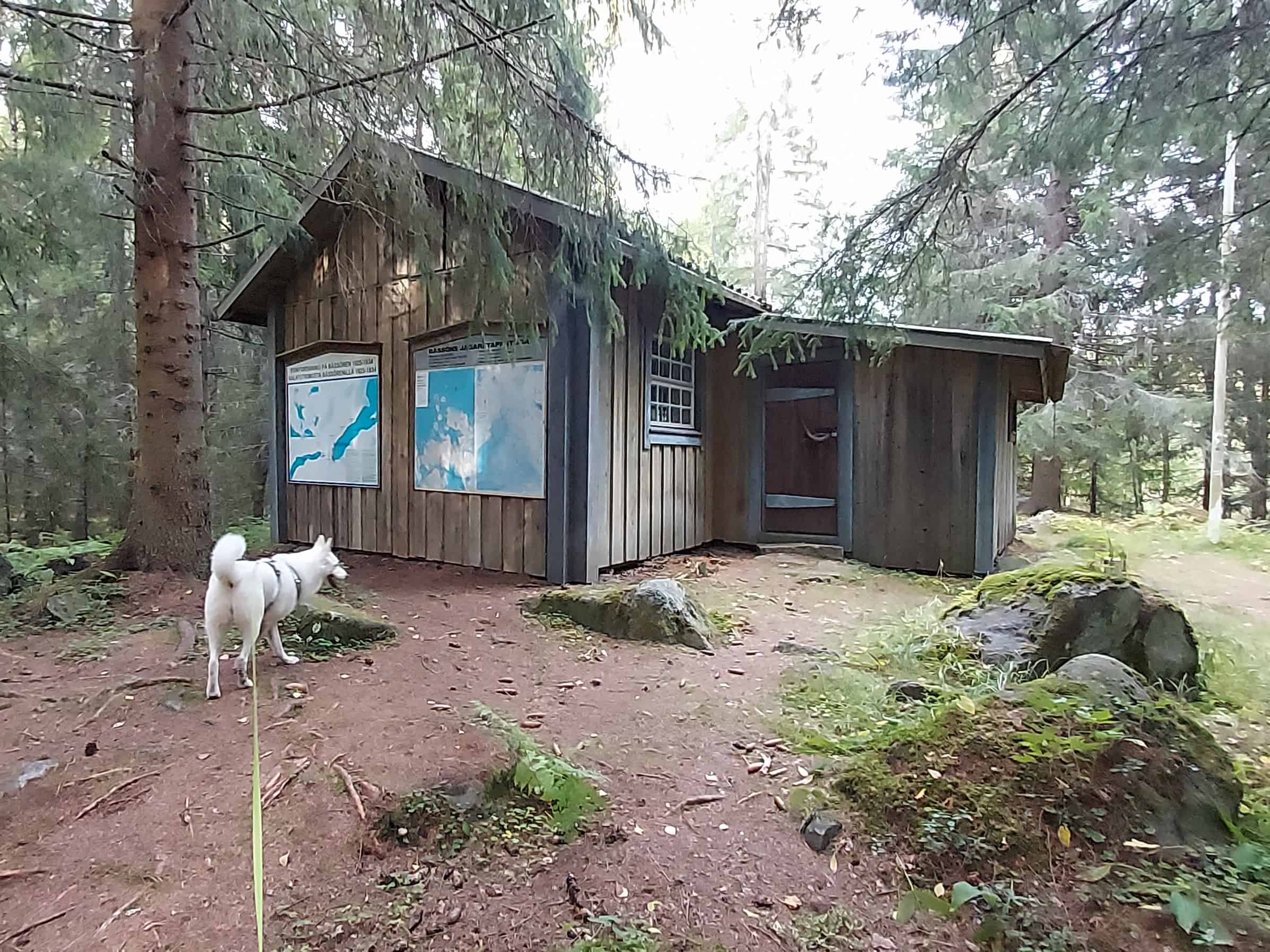 Jääkärietappitupa sijaitsee metsän keskellä. Tuvan edustalla valkoinen koira.