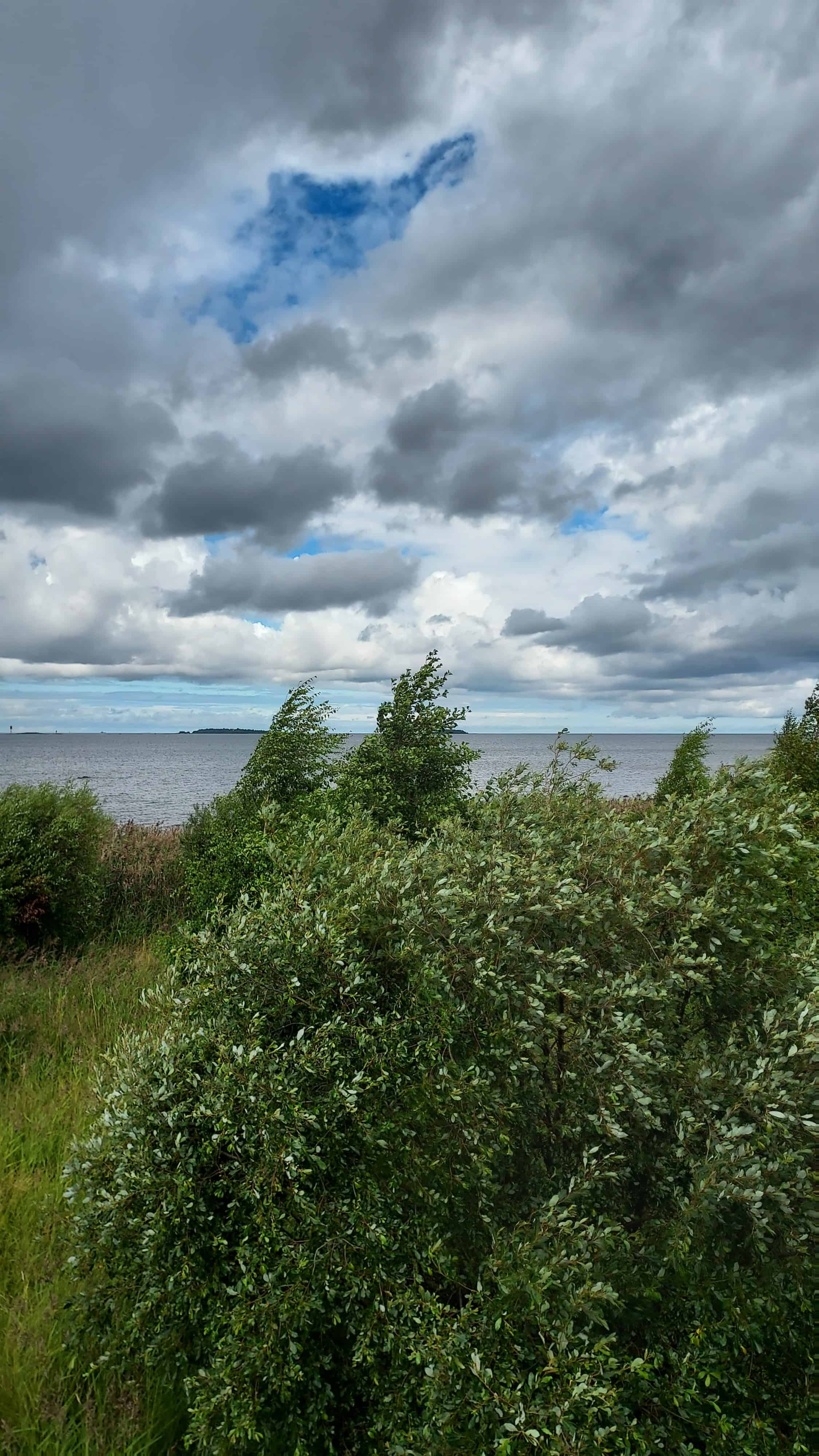 Maisema Vanhan Kallen kinttupolun päässä olevalta Harrinniemen lintutornilta kohti merta. Sää on tuulinen ja kuvassa puut huojuvat tuulessa.