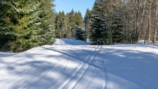 Skidspår med backar i skogen. Till höger finns ett spår för traditionell skidåkning och till vänster ett jämnt underlag för skidåkare med fri stil. Långt borta syns en skidåkare på ett spår. Solen skiner.