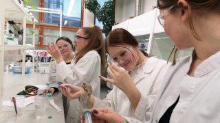 Kuvassa opiskelijat eristävät DNA:ta laboratoriossa