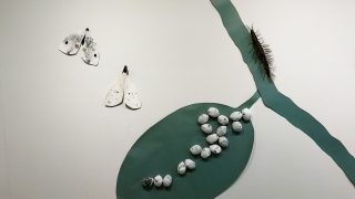 Fjärilsägg, larv och två fullvuxna fjärilar tillverkade med blandad teknik. En del av Marianne Kaustinens Metamorphosis-utställning år 2018.