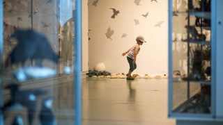 A boy is watching the Bird Nest –installation by Marjut Järvimies in Kieppi in 2015.