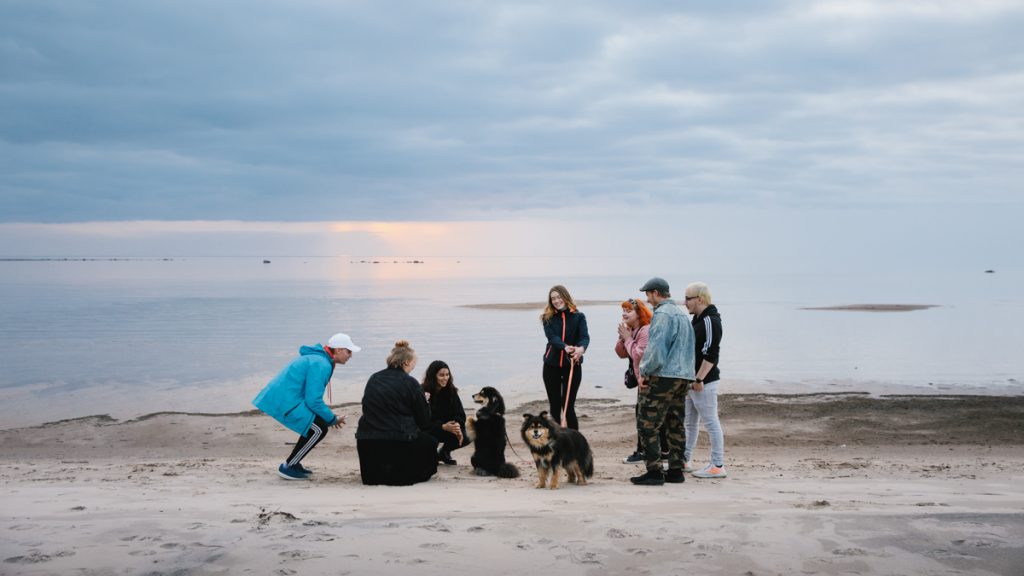 A group of young people are at the beach with two dogs during the autumn.
