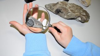 A child is examining trilobite fossil with a microscope.