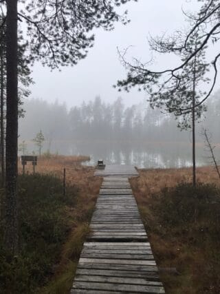 Lillpotten pond on a foggy day.