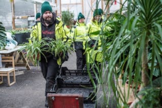Puistotyöntekijät siirtävät kasveja kasvihuoneessa