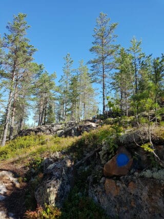 Rock and forest