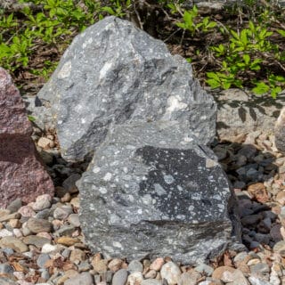 Kiepin kivilajinäyttelyn näytelohkare. Tummassa kivessä vaaleita erikokoisia rakeita.